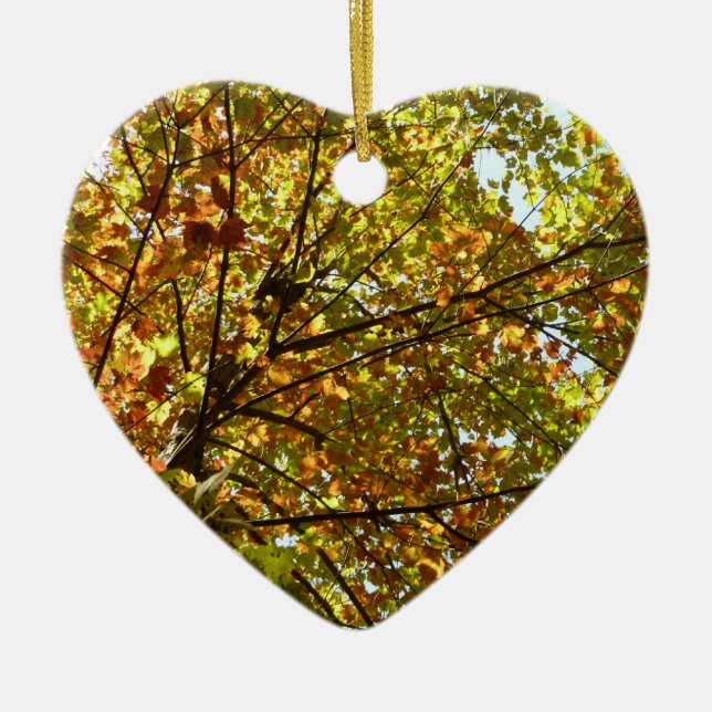 Changing Maple Tree Green and Gold Fall Colour Ceramic Ornament (Front)