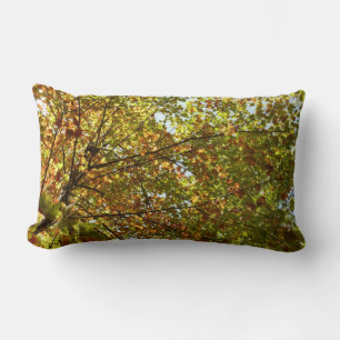 Changing Maple Tree Green and Gold Fall Colour Lumbar Pillow