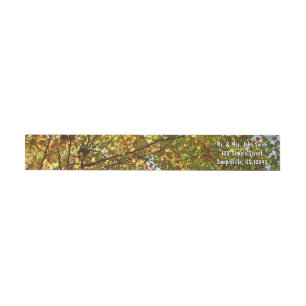 Changing Maple Tree Green and Gold Fall Colour Wrap Around Label