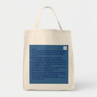 chanin bag