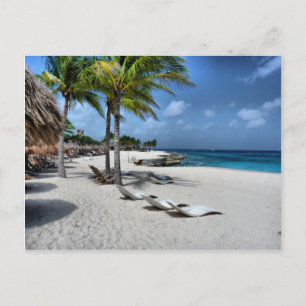 Chankanaab National Park in Cozumel Postcard