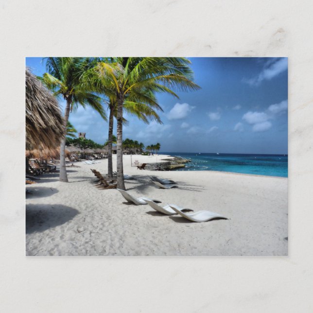 Chankanaab National Park in Cozumel Postcard (Front)