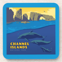 Channel Islands National Park Dolphins