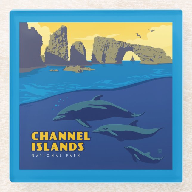 Channel Islands National Park Dolphins Glass Coaster (Front)