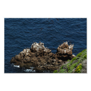 Channel Islands National Park Photo Print