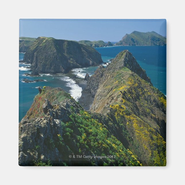 Channel Islands National Park, Southern Magnet (Front)
