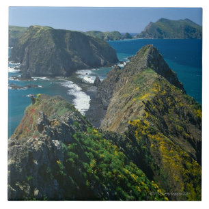 Channel Islands National Park, Southern Tile