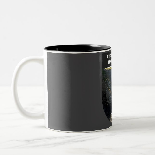 Channel Islands National Park  Two-Tone Coffee Mug (Left)