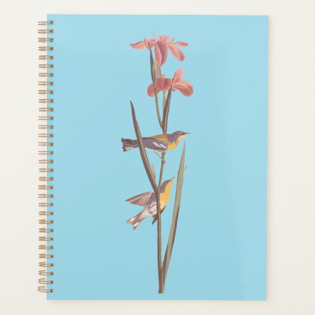 Chanson d'Audubon sur la Paruline jaune bleu (Devant)