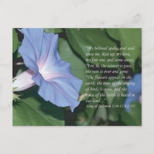 Chanson de Salomon 2:10-12 Ecriture Carte postale