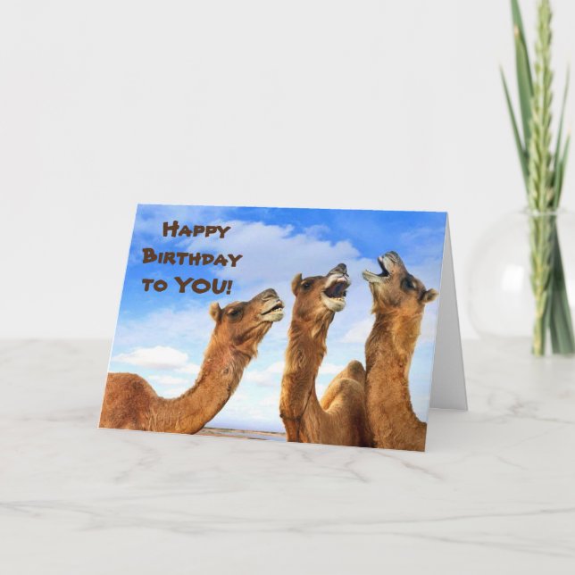 CHANT CAMELS DITES HEUREUX **40ème** Carte d'anniv (Devant)