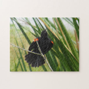 Chant de Blackbird à ailes rouges - Puzzle d'oisea