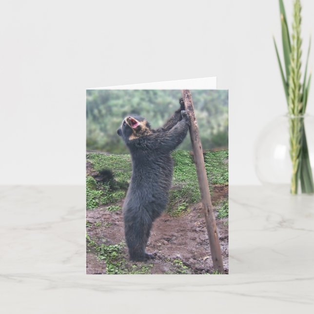 Chanter Bubu Carte pour notes (Devant)