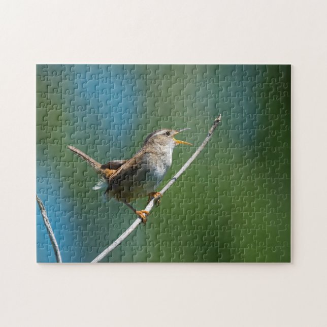 Chanter Marsh Wren puzzle (Horizontal)