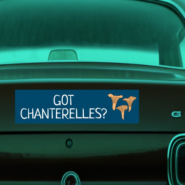 Chanterelle Mushrooms Fun Fungi CUSTOMIZE IT Bumper Sticker (Chanterelle Mushrooms Fun Fungi CUSTOMIZE IT Bumper Sticker
)