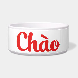 Chào / Hello ~ Vietnam / Vietnamese / Tiếng Việt