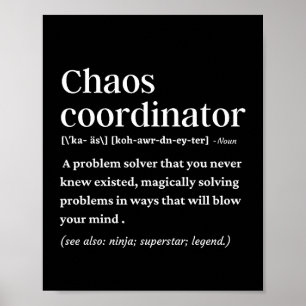 Chaos coordinator funny definition poster