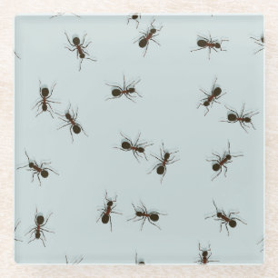 Chaotic Red Ants Stylish Pattern Glass Coaster