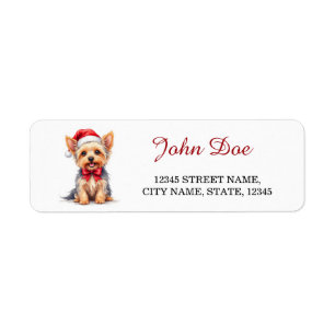Chapeau de Noël de Yorkshire Terrier Retour de Noë