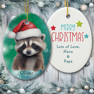 Chapeau de Père Noël Raton laveur Mignon Ornement 