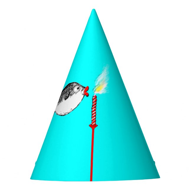 Chapeaux De Fêtes Anniversaire drôle (Devant)