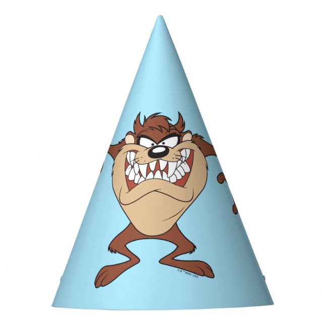 Chapeaux De Fêtes Armoiries larges TAZ™ (Devant)