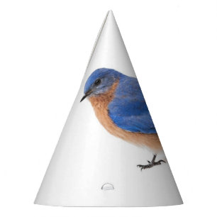 Chapeaux De Fêtes Bluebird