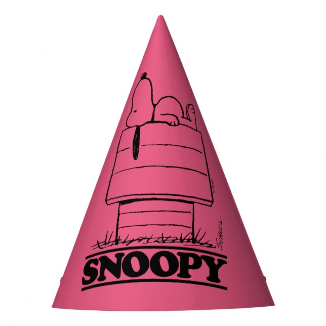 Chapeaux De Fêtes cacahuètes | Snoopy Le Secret À La Vie (Devant)