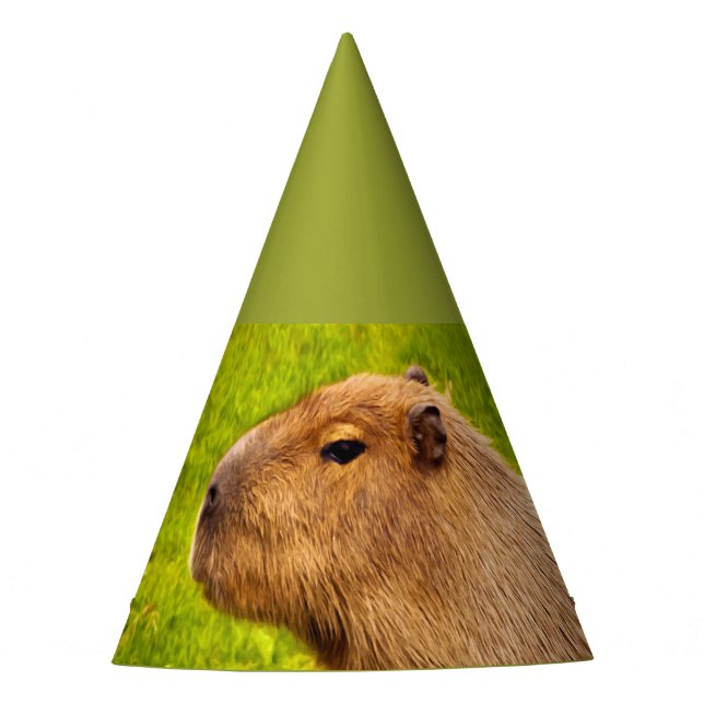 Chapeaux De Fêtes Capybara (Devant)