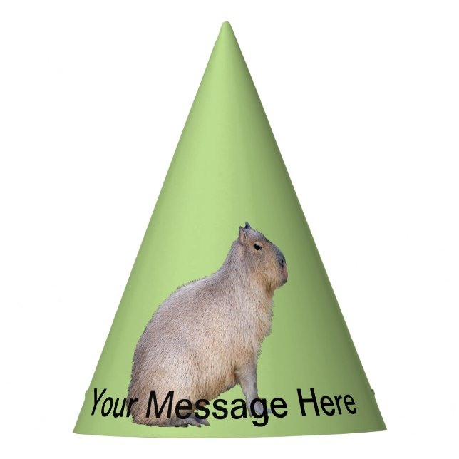Chapeaux De Fêtes Capybara (Devant)