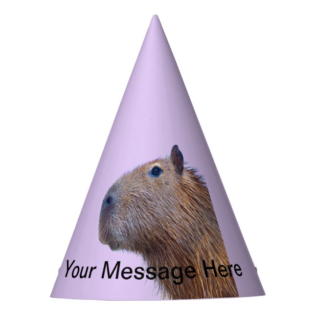 Chapeaux De Fêtes Capybara (Devant)
