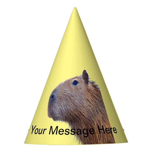 Chapeaux De Fêtes Capybara (Devant)
