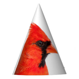 Chapeaux De Fêtes Cardinal