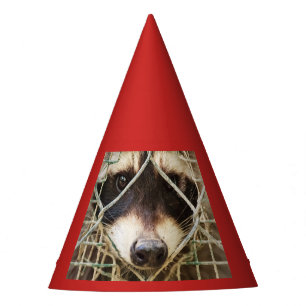 CHAPEAUX DE FÊTES CASQUETTE DE PARTIE DE RACCON