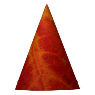 Chapeaux De Fêtes Feuille d'érable rouge Abstraite Automne Photograp