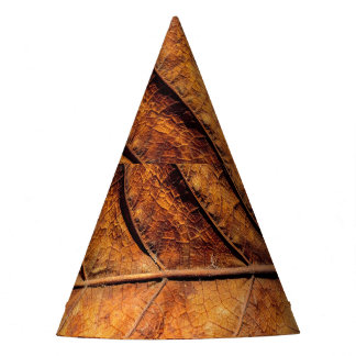 Chapeaux De Fêtes Feuille sèche : arrière - plan de texture naturell