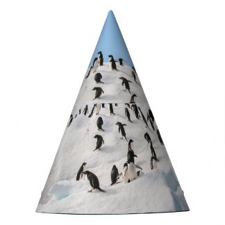 Chapeaux De Fêtes Gentoo Penguin Antarctica Iceberg Playtime