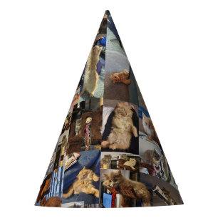 Chapeaux De Fêtes Kitten Photo Collage, Casquettes du parti