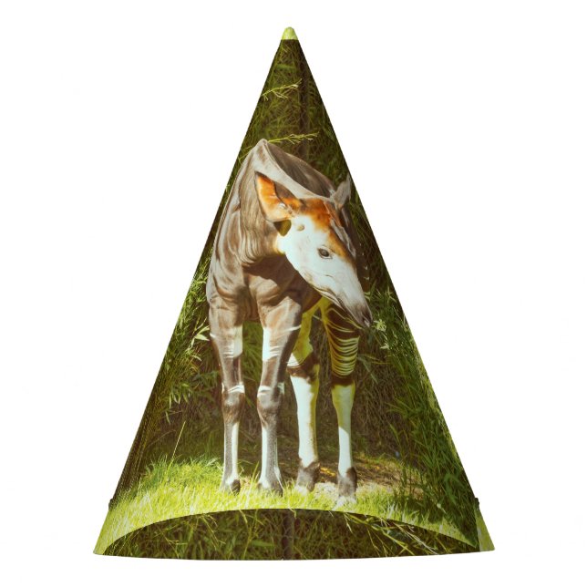 Chapeaux De Fêtes okapi (Devant)