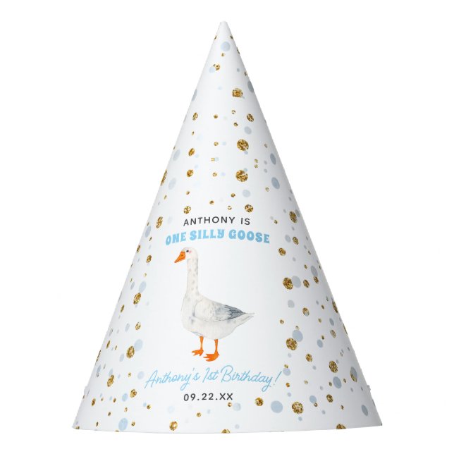 Chapeaux De Fêtes One Silly Goose Boys 1er Anniversaire (Devant)