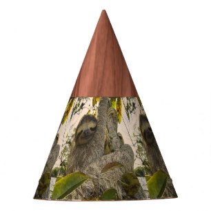Chapeaux De Fêtes Paresse