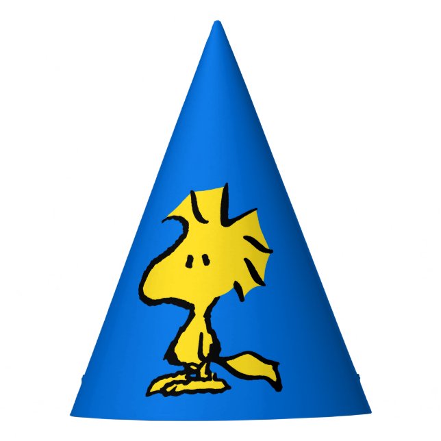 Chapeaux De Fêtes Peanuts | Snoopy's Friend Woodstock (Devant)
