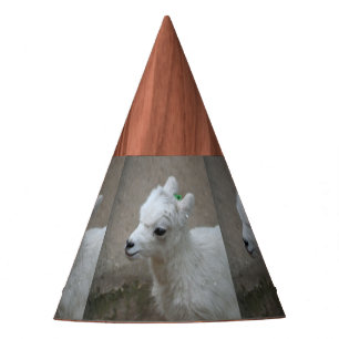 Chapeaux De Fêtes petite chèvre
