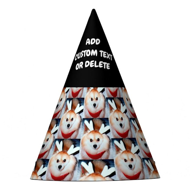 Chapeaux De Fêtes Photo de chien Anniversaire do-it-yourself (Devant)