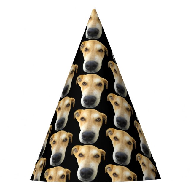 Chapeaux De Fêtes Photo de chien mignon Anniversaire Personnalisé (Devant)