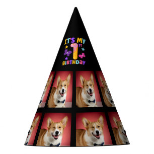 Chapeaux De Fêtes Photo de chien personnalisé 1er anniversaire Casqu