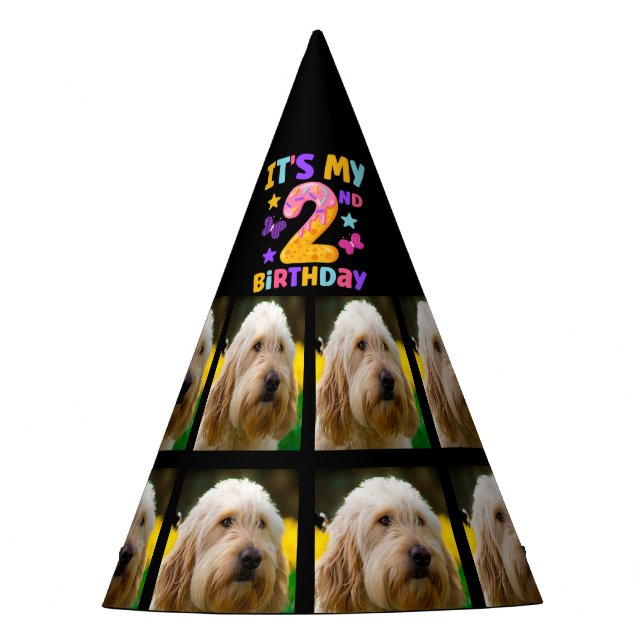 Chapeaux De Fêtes Photo de chien personnalisée Casquette de fête de  (Devant)