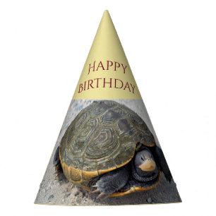 Chapeaux De Fêtes Photo Turtle