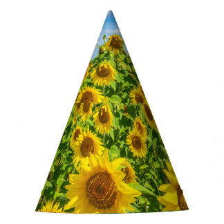 Chapeaux De Fêtes Terrain de tournesol, ensoleillé l'été.