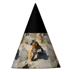 Chapeaux De Fêtes Tiger_20190302_by_JAMFoto